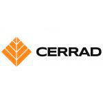Термопанель с клинкерной плиткой Cerrad Loft Brick Salt Термопанель с клинкерной плиткой Cerrad Loft Brick Salt